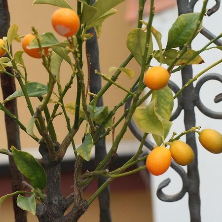 Casa Vacanze Aloha Giardini Naxos Bagian luar foto